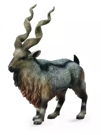 Rogacz Tadjik Markhor - Collecta