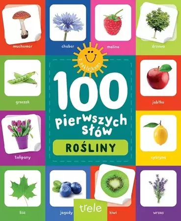 Rośliny. 100 pierwszych słów - praca zbiorowa