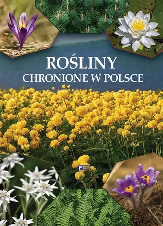 Rośliny chronione w Polsce - praca zbiorowa