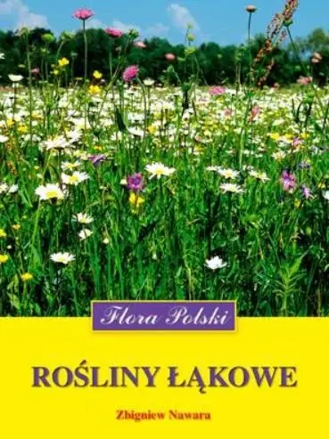 Rośliny łąkowe. Flora Polski - Zbigniew Nawara