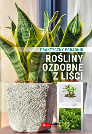 Rośliny ozdobne z liści. Poradnik praktyczny - praca zbiorowa