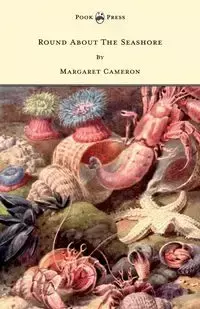 Round about the Seashore - With Eight Coloured Pictures - Cameron Margaret