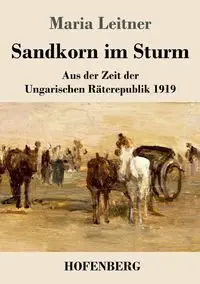 Sandkorn im Sturm - Maria Leitner