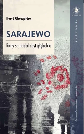 Sarajewo Rany są nadal zbyt głębokie - Herv Ghesquiere