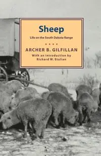 Sheep - Gilfillan Archer B.