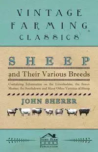 Sheep and Their Various Breeds - Containing Information on the Lincolnshire, the Saxon Merino, the Southdown and Many Other Varieties of Sheep - John Sherer