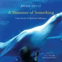 Shimmer of Something - Doyle Brian