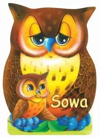 Sowa LIWONA - Rafał Wejner