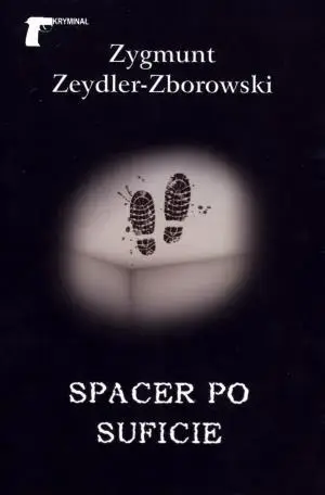 Spacer po suficie - Zygmunt Zeydler-Zborowski