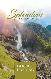 Splendors to Remember - Derrick Harding