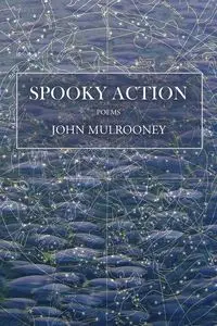 Spooky Action - John Mulrooney