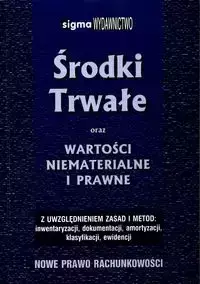 Środki trwałe - Aleksander Korczyn