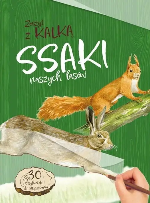 Ssaki naszych lasów. Zeszyt z kalką - Katarzyna Kopiec-Sekieta