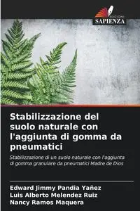 Stabilizzazione del suolo naturale con l'aggiunta di gomma da pneumatici - Edward Jimmy Pandia Yañez