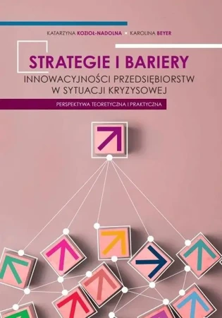 Strategie i bariery innowacyjności przedsiębiorstw - Katarzyna Kozioł-Nadolna, Karolina Beyer