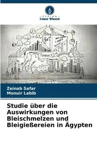 Studie über die Auswirkungen von Bleischmelzen und Bleigießereien in Ägypten - Safar Zeinab