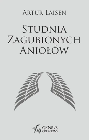 Studnia Zagubionych Aniołów - Artur Laisen