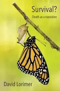 Survival? Death as a Transition - David Lorimer