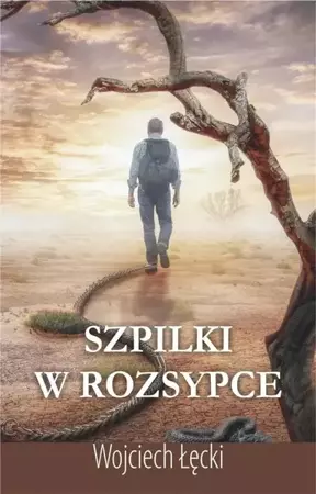 Szpilki w rozsypce - Wojciech Łęcki