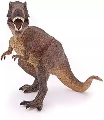 T-Rex - PAPO