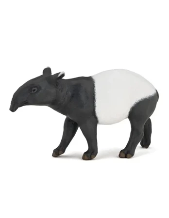 Tapir - PAPO