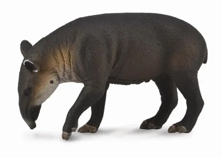 Tapir cielę bairda - Collecta