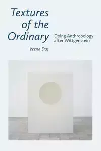Textures of the Ordinary - Das Veena