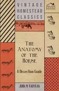 The Anatomy of the Horse - A Dissection Guide - John M'Fadyean