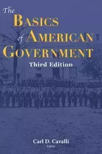 The Basics of American Government