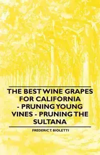 The Best Wine Grapes for California - Pruning Young Vines - Pruning the Sultana - Bioletti Frederic T.