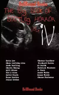 The Big Book of Bootleg Horror Vol IV - Lee Erin