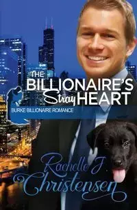 The Billionaire's Stray Heart - Christensen Rachelle J.