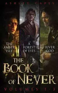 The Book of Never - Ashley Capes