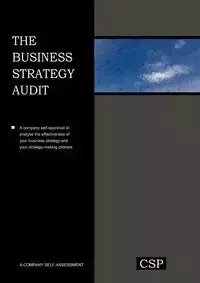 The Business Strategy Audit - Della-Piana Vernal