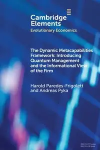 The Dynamic Metacapabilities Framework - Harold Paredes-Frigolett