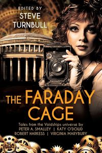 The Faraday Cage