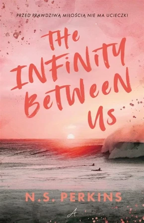 The Infinity Between Us - N.S. Perkins, Ewa Rosa