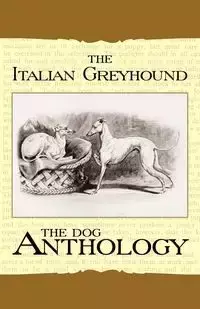 The Italian Greyhound - Various