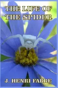 The Life of the Spider - Fabre J. Henri