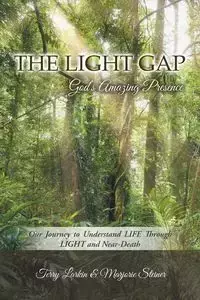 The Light GAP - Terry Larkin