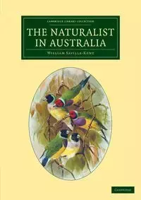 The Naturalist in Australia - William Saville-Kent