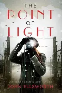 The Point of Light - Ellsworth John