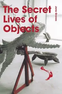 The Secret Lives of Objects - Jane Graves