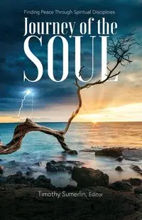 The Soul Journey - Timothy Sumerlin