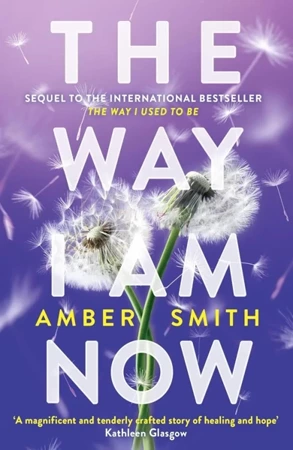 The Way I Am Now - Amber Smith