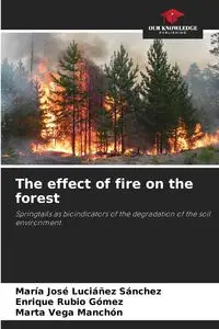 The effect of fire on the forest - Luciáñez Sánchez María José