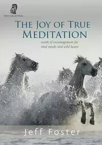 The joy of True Meditation - Foster Jeff