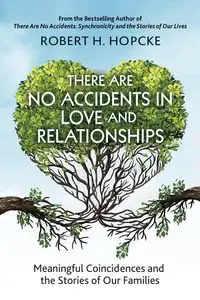 There Are No Accidents in Love and Relationships - Robert Hopcke H