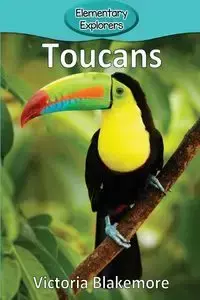 Toucans - Victoria Blakemore