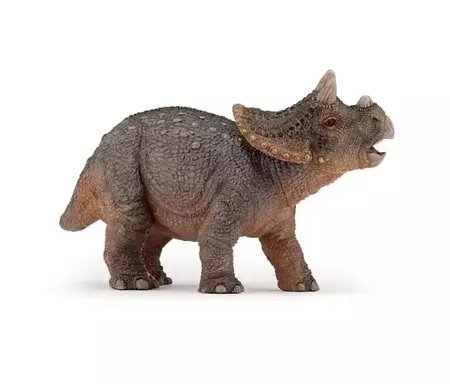 Triceratops młody - PAPO